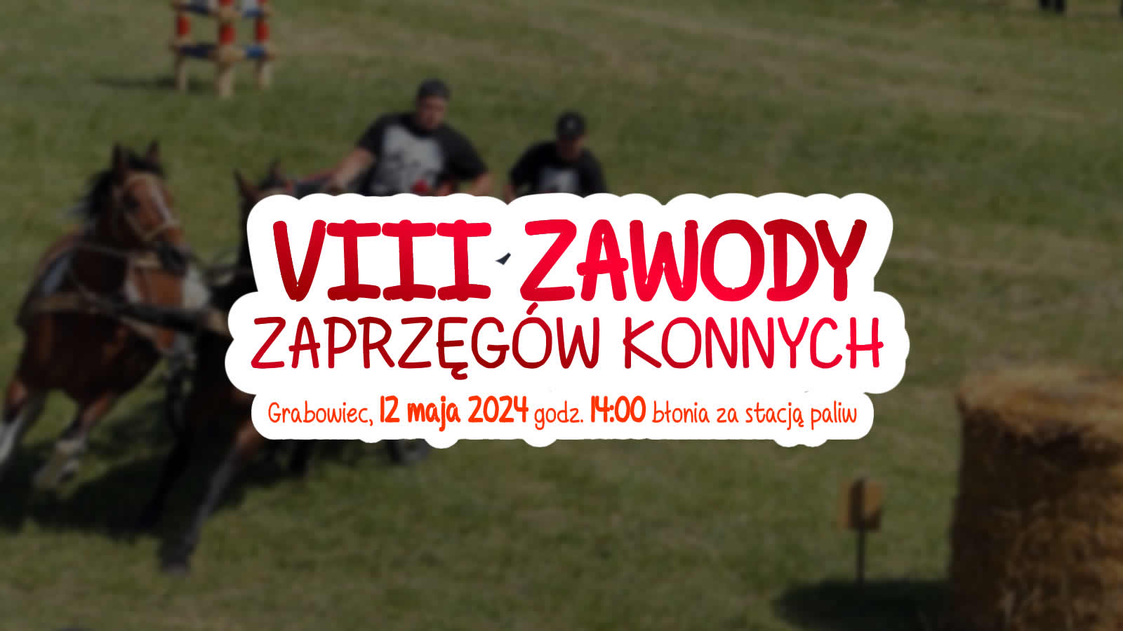 VIII ZAWODY ZAPRZĘGÓW KONNYCH