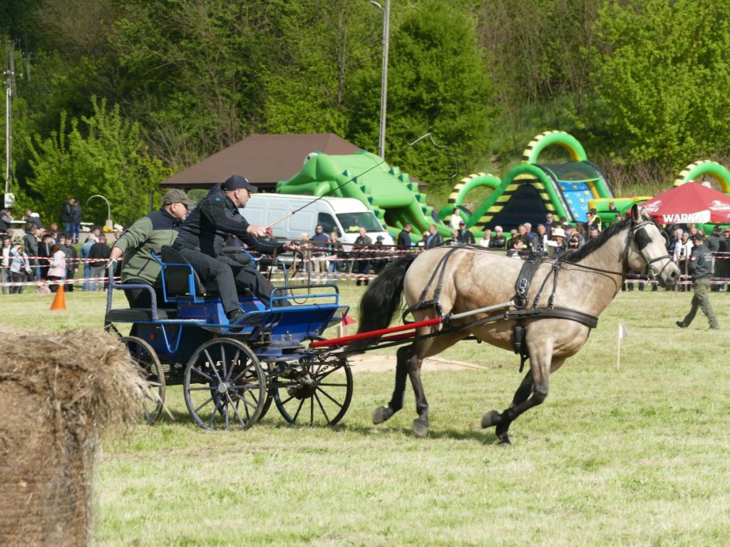 WYŚCIGI ZAPRZĘGÓW KONNYCH