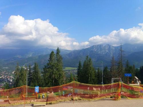 2019-kolonie-65