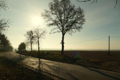 20201125-droga-tuczepy-112