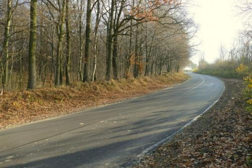 20201125-droga-tuczepy-125