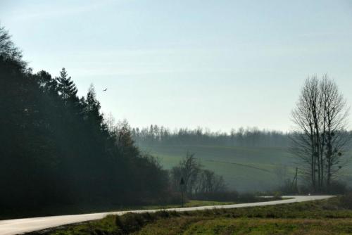 20201125-droga-tuczepy-150